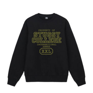 Stussy internationaal sweatshirt